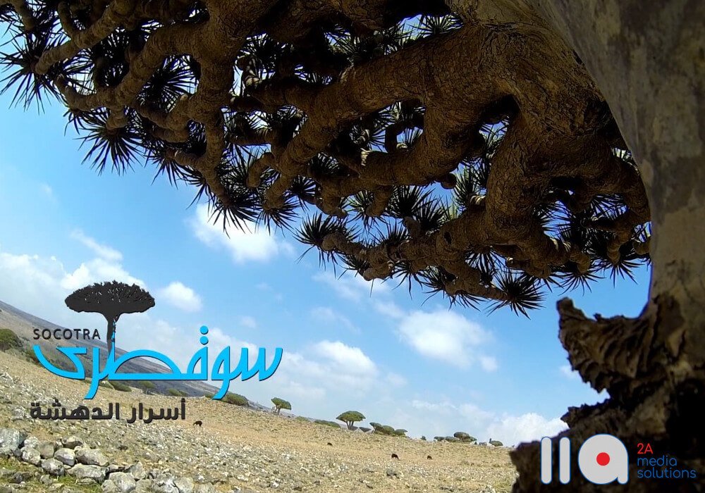 Socotra